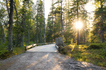 Hiking trail in Fulufjallet National Park in Dalarna, Sweden. Popular tourist destination for hiking.  © PhotosbyPatrick