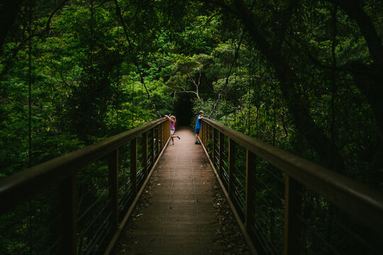 Brother and sister on a bridge on hike in tropical forest