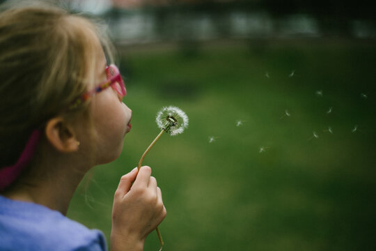 Girl blond child blows a dandelion over green grass