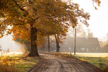 Autumn foggy morning in the countryside