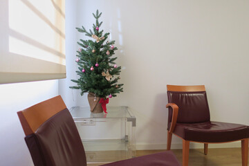 Small christmas tree in doctor's waiting room