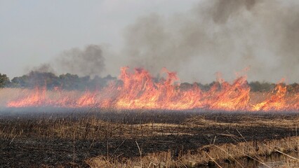 徐々に高く燃え上がる炎と黒煙