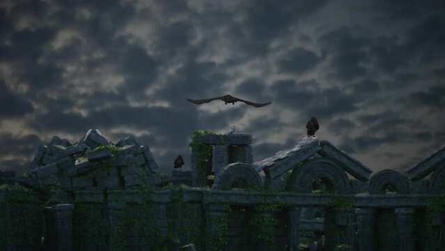 Ravens on medieval ruins