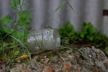 Glass jar lying on stone with moss and grass, horizontal photo on blurred background. Environment concept, nature, outdoor. Fresh green grass and leaves