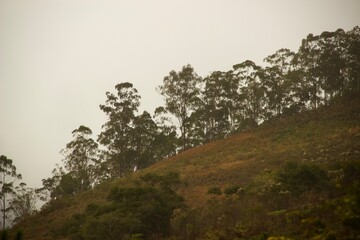 Nevoeiro  em Teresópolis - fog in Teresópolis - Beautiful view of the mountains and cities of the world. City of Teresópolis, state of Rio de Janeiro Brazil, South America.