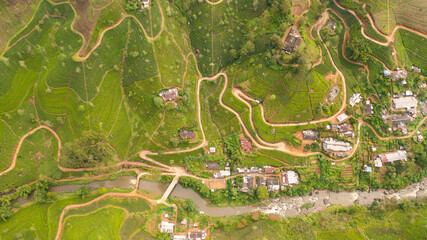 Top view of Tropical landscape with Tea estate among the mountains. Tea plantations in Sri Lanka.