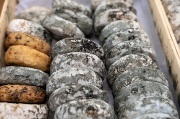 Matured french goat cheeses on farmers market in Cassis, Provence, France