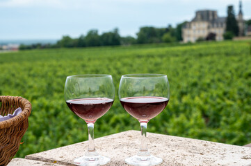 Tasting of red dry pinot noir wine in glass on premier and grand cru vineyards in Burgundy wine making region near Vosne-Romanée village, France