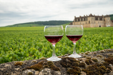Tasting of red dry pinot noir wine in glass on premier and grand cru vineyards in Burgundy wine making region with chateau on background, France