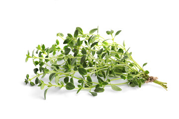 Bunch of fresh marjoram leaves on white background
