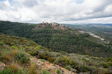 Naklejka premium Touristic route D141 road from La Ciotat to Cassis, panoramic view limestone's cliffs and green pine forest, vacation in Provence, France