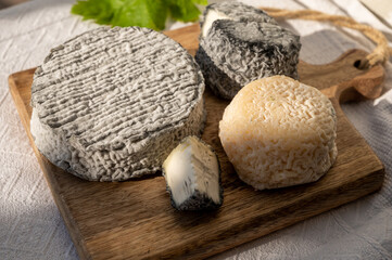 French goat cheeses crottin and selles-sur-cher served with view on boats in harbor of Cassis, Provence, France
