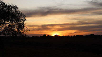 Fototapeta na wymiar Beautiful sunset in orange tones. Sunset with rural landscape.