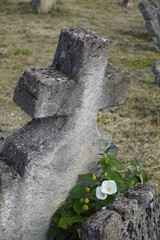an old grave