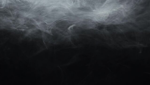 Steam texture. Vapor flow motion. Gray fog floating. White transparent  smoke spreading on dark night black abstract background for intro.
