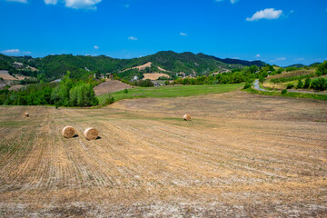 Obraz premium Summer panorama of the hills of Nizza Valley, part of the hilly area of Oltrepo Pavese (Pavia Province) between the borders of Lombardy, Piedmont and Emilia Romagna Regions (Northern Italy)