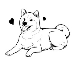 Shiba vector hand drawing illustration in black color isolated on white background