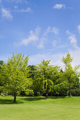 梅雨明けの初夏の青空	