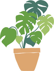 Simplicity monstera plant freehand drawing flat design.