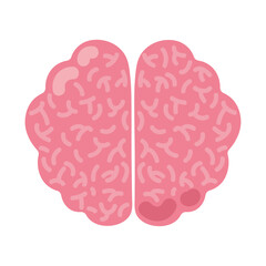 human brain cartoon