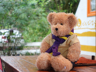 Teddy bear sitting on a table outdoors, photography with depth of field.