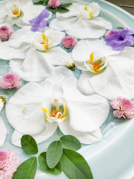 待ち受け Images Browse 2 606 Stock Photos Vectors And Video Adobe Stock