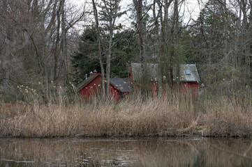 house in the woods
