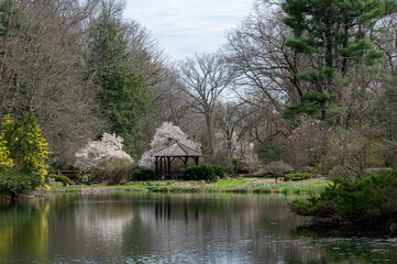 Fototapeta premium house on the lake