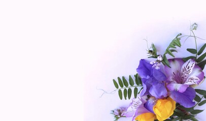 Lilac irises and yellow roses on a white background. Festive flower arrangement. Background for a greeting card.