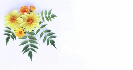Yellow dahlias on a white background. Festive flower arrangement. View from above. Background for a greeting card.