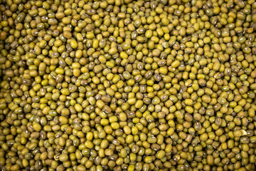 Countless grains of seeds to eat. Vegetable based protein.