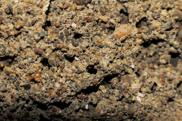 Detailed photo of stone on wall 
