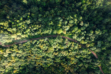 Aerial view road through green forest