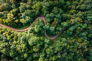 Aerial view road through green forest
