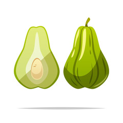 Fresh chayote vector isolated illustration