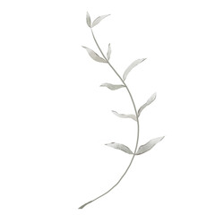 Vintage leaves watercolor floral bouquet Png, Greenery Elements Wildflowers Spring with Wreaths on Transparent background Png