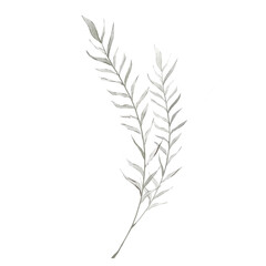 Vintage leaves watercolor floral bouquet Png, Greenery Elements Wildflowers Spring with Wreaths on Transparent background Png