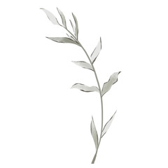 Vintage leaves watercolor floral bouquet Png, Greenery Elements Wildflowers Spring with Wreaths on Transparent background Png