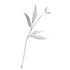 Vintage leaves watercolor floral bouquet Png, Greenery Elements Wildflowers Spring with Wreaths on Transparent background Png