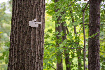 Hand sign in the woods pointing to the right
