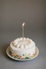 White Birthday Cake with Sprinkles with One gold candle