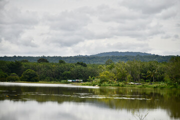 lake in the forest