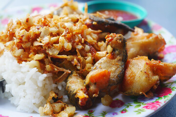 Frog fried with garlic on white rice famous Thai food.