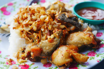 Frog fried with garlic on white rice famous Thai food.