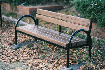 秋の公園のベンチ
