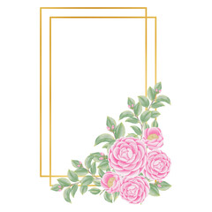 Pink flowers watercolor camellia illustration. pink camellia wreath.