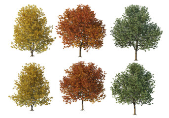 Multicolored leafy tree on transparent background