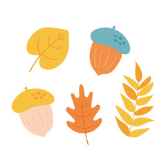 Autumn leaves set, acorns on white background