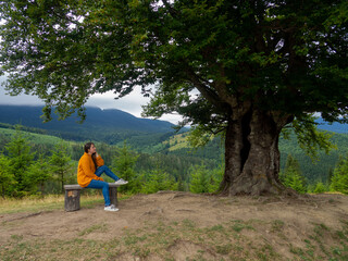 Naklejka na ściany i meble Side view of young woman in yellow sweater and blue jeans admiring breathtaking view while sitting on bench in the mountains. Female in casual clothes sits under large tree with forest background.