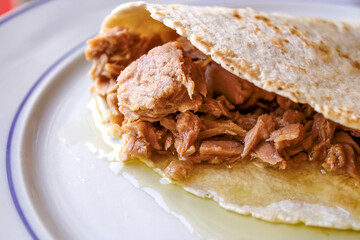 Tortilla Wrap with Tuna Fish